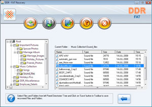 FAT Partition Files Recovery Software Screenshot