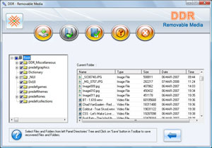 Removable Media Files Recovery Software Screenshot